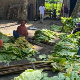 Tin tức 624x366-2023-IndependentSuppliers-01.jpg